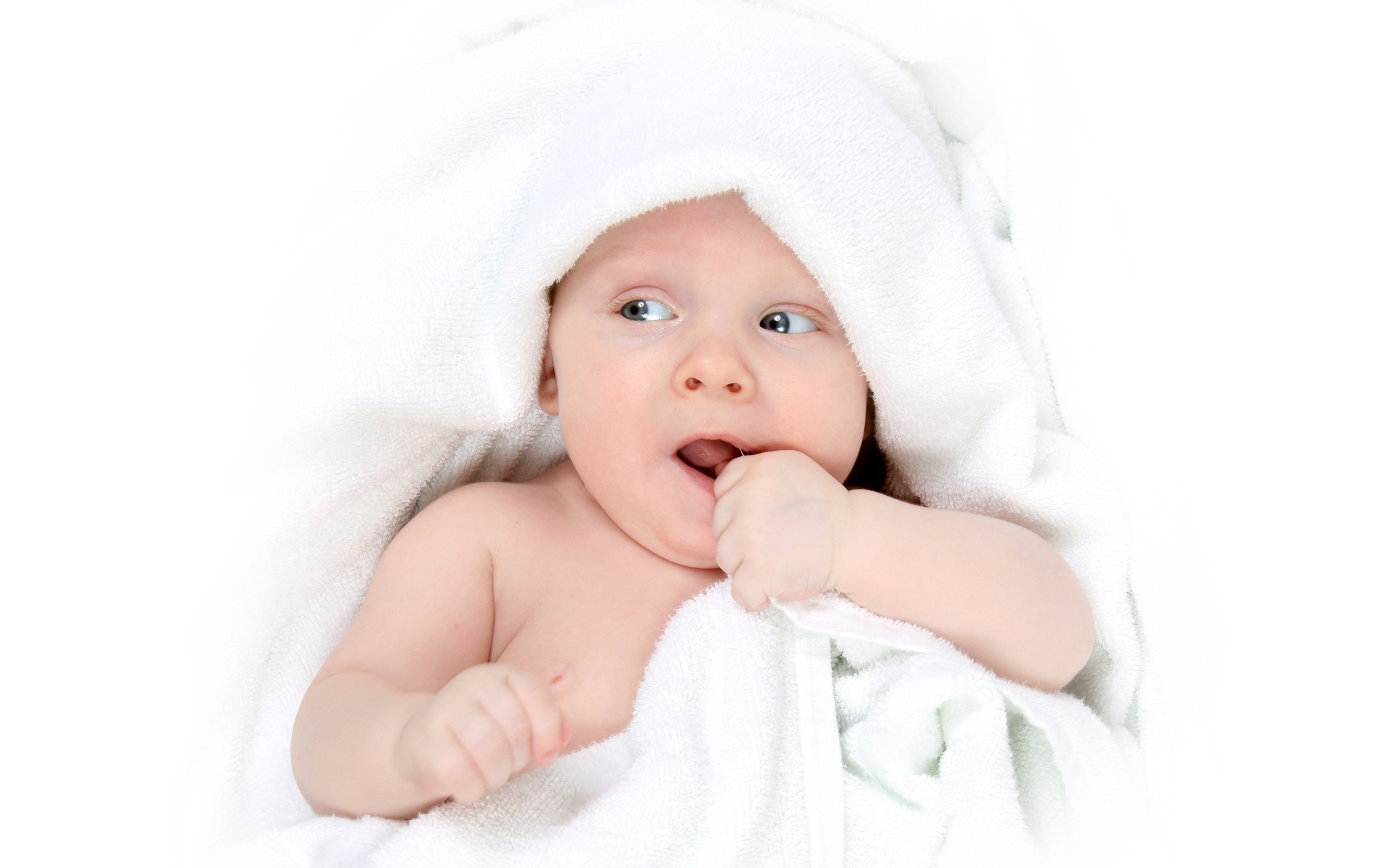 供卵医院试管婴儿什么季节成功率高